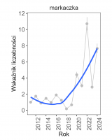 Wykres przedstawia linię trendu wskaźnika liczebności: silny wzrost, dla markaczki. Na osi X podane są lata (2011-2024), a na osi Y - zakres wartości wskaźnika liczebności.