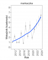 Wykres przedstawia linię trendu wskaźnika liczebności: silny wzrost, dla markaczki. Na osi X podane są lata (2011-2024), a na osi Y - zakres wartości wskaźnika liczebności.