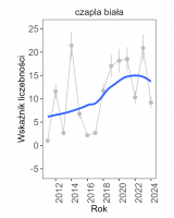 Wykres przedstawia linię trendu wskaźnika liczebności: silny wzrost, dla czapli białej. Na osi X podane są lata (2011-2024), a na osi Y - zakres wartości wskaźnika liczebności.