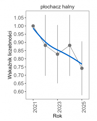 Wykres przedstawia zmiany wskaźnika liczebności wraz z linią trendu (kategoria trendu: nieokreślony) dla płochacza halnego. Na osi X podane są lata (2021-2025), a na osi Y - zakres wartości wskaźnika liczebności.