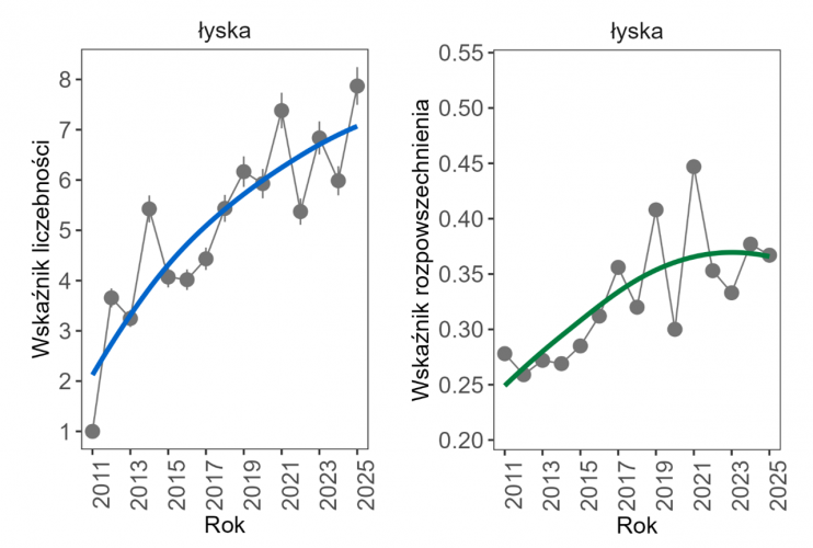 Wykresy przedstawiające zmiany wskaźnika liczebności (po lewej) i wskaźnika rozpowszechnienia (po prawej) zimujących populacji łyski w Polsce w latach 2011–2025