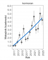 Wykres przedstawia linię trendu wskaźnika liczebności: silny wzrost, dla kormorana. Na osi X podane są lata (2011-2025), a na osi Y - zakres wartości wskaźnika liczebności.