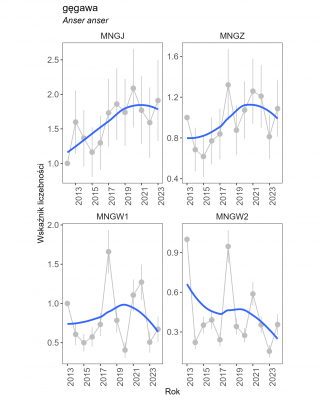 Obraz przedstawia linie wskaźnika liczebności gęgawy na 4 wykresach, których trend jest: umiarkowanie wzrostowy dla liczenia jesiennego, nieoznaczony dla liczenia zimowego, umiarkowanie wzrostowy dla 1 liczenia wiosennego i umiarkowanie spadkowy dla 2.
