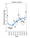 Wykres przedstawia zmiany wskaźnika liczebności wraz z linią trendu (kategoria trendu: silny wzrost) dla rybitwy czarnej. Na osi X podane są lata (2008-2024), a na osi Y - zakres wartości wskaźnika liczebności.