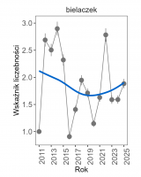 Wykres przedstawia linię trendu wskaźnika liczebności: umiarkowany spadek, dla bielaczka. Na osi X podane są lata (2011-2025), a na osi Y - zakres wartości wskaźnika liczebności.