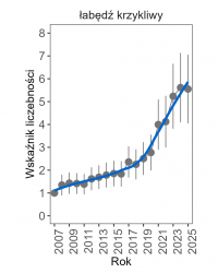 Widoczny jest silny trend wzrostowy.