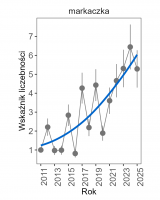 Wykres przedstawia linię trendu wskaźnika liczebności: silny wzrost, dla markaczki. Na osi X podane są lata (2011-2025), a na osi Y - zakres wartości wskaźnika liczebności.