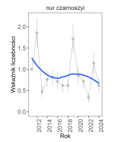 Wykres przedstawia opadającą linię trendu wskaźnika liczebności dla nura rdzawoszyjego, którego trend pozostaje nieokreślony (przez duże wahania wartości wskaźnika). Na osi X podane są lata (2011-2024), a na osi Y - zakres wartości wskaźnika liczebności.