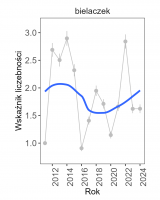 Wykres przedstawia linię trendu wskaźnika liczebności: umiarkowany spadek, dla bielaczka. Na osi X podane są lata (2011-2024), a na osi Y - zakres wartości wskaźnika liczebności.