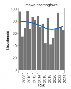 Wykres przedstawia zmiany liczebności wraz z linią trendu (kategoria trendu: stabilny) dla mewy czarnogłowej. Na osi X podane są lata (2007-2024), a na osi Y - zakres wartości liczebności.