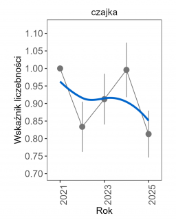 W roku 2025 stwierdzono wyraźny spadek liczby osobników czajki odnotowywanych na powierzchniach monitoringowych względem poprzedniego roku.
