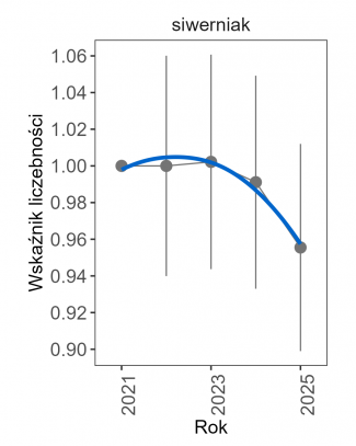 Wykres przedstawia zmiany wskaźnika liczebności wraz z linią trendu (kategoria trendu: nieokreślony) dla siwerniaka. Na osi X podane są lata (2021-2025), a na osi Y - zakres wartości wskaźnika liczebności.