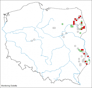 Najwięcej pow. z 5 i więcej samcami było w dolinie Biebrzy i w Dolinie Górnej Narwi.