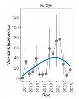Wykres przedstawia linię trendu wskaźnika liczebności: silny wzrost, dla nurzyka. Na osi X podane są lata (2011-2025), a na osi Y - zakres wartości wskaźnika liczebności.