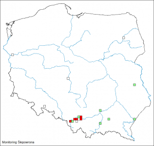 Największe kolonie stwierdzane były w dolinie górnej Wisły.