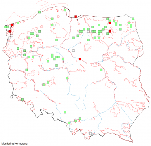 Mapa przedstawiająca rozmieszczenie i liczebność kormorana w roku 2025. Pusty kwadrat – brak lęgów, zielony – 1–1000 par, czerwony – ponad 1000 par