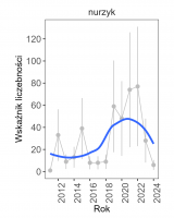 Wykres przedstawia linię trendu wskaźnika liczebności: silny wzrost, dla nurzyka. Na osi X podane są lata (2011-2024), a na osi Y - zakres wartości wskaźnika liczebności.