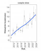 Wykres przedstawia linię trendu wskaźnika liczebności: silny wzrost, dla czapli siwej. Na osi X podane są lata (2011-2024), a na osi Y - zakres wartości wskaźnika liczebności.