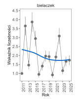 Wykres przedstawia linię trendu wskaźnika liczebności: umiarkowany spadek, dla bielaczka. Na osi X podane są lata (2011-2025), a na osi Y - zakres wartości wskaźnika liczebności.