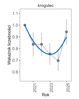 Wykres przedstawia zmiany wskaźnika liczebności wraz z linią trendu (kategoria trendu: nieokreślony) dla krogulca. Na osi X podane są lata (2020-2025), a na osi Y - zakres wartości wskaźnika liczebności.