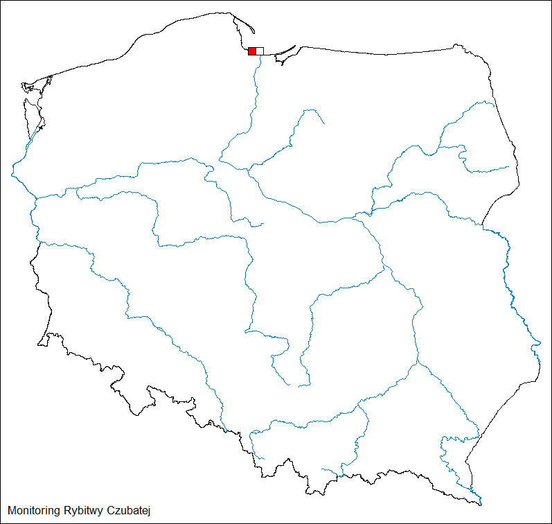 Rozmieszczenie stanowisk lęgowych rybitwy czubatej w roku 2025 (czerwone - ponad 100 par, obrys - brak stwierdzeń W 2025 rybitwy czubate gniazdowały tylko na jednej powierzchni