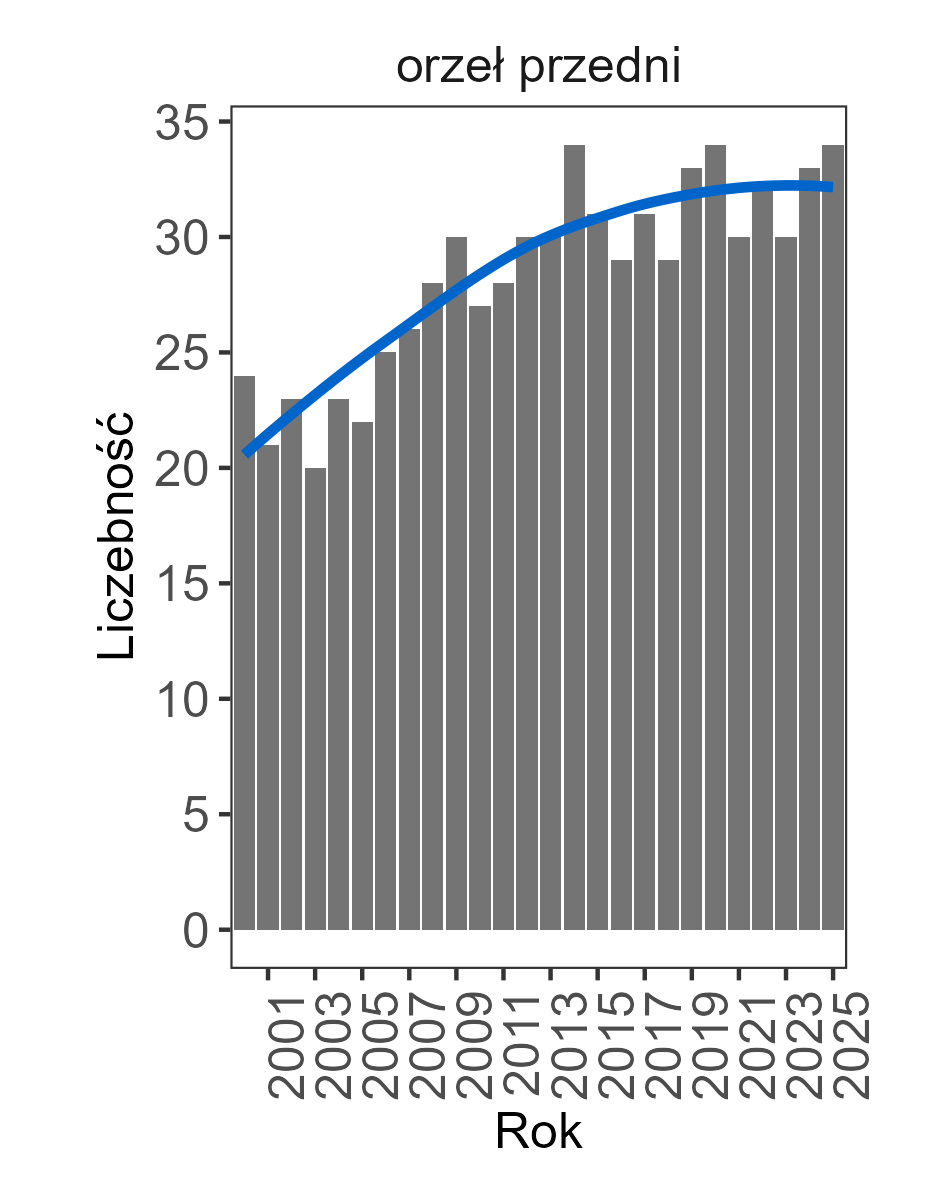 Zmiany liczebności orła przedniego
w Polsce w latach 2000–2025. Linią zaznaczono trend dopasowany za pomocą funkcji loess